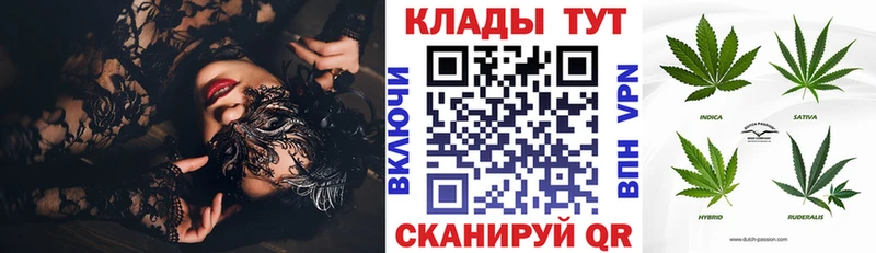 Купить закладку Кокаин  APVP  Галлюциногенные грибы  Амфетамин  Меф  Гашиш  Ленинск-Кузнецкий