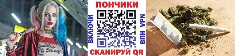 Шишки марихуана план  Купить  Ленинск-Кузнецкий 